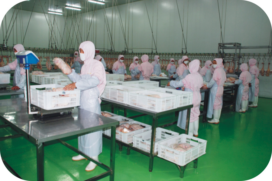 广西华兴食品集团有限公司