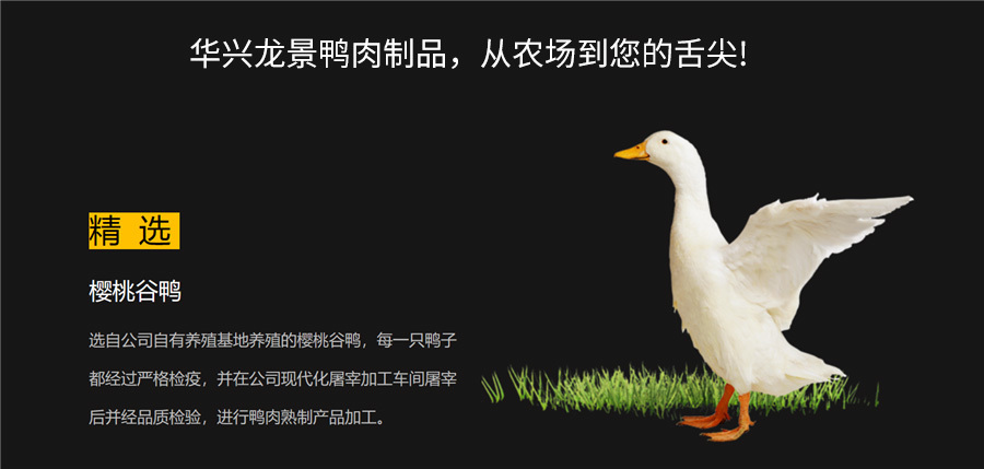 广西华兴食品集团