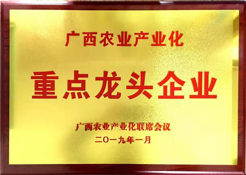 广西华兴食品集团有限公司获得广西农业产业化重点龙头企业