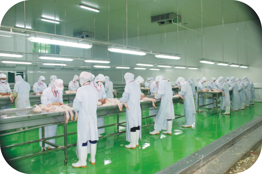 广西华兴食品集团有限公司