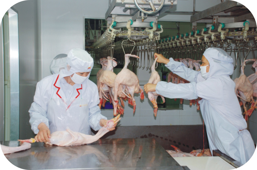 广西华兴食品集团有限公司