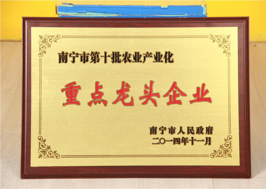 南宁市第十批农业产业重点龙头企业