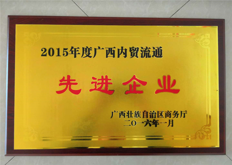 2015年广西内贸流通先进企业